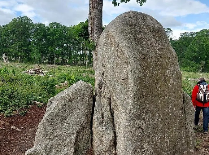 Semesterbostad Greiling *